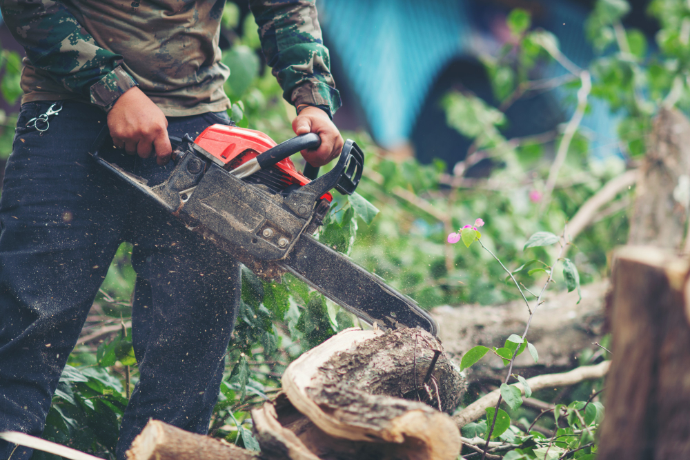asian-man-cutting-trees-using-electrical-chainsaw